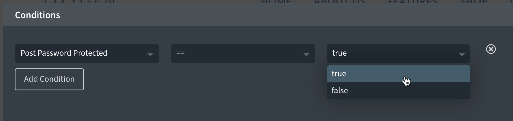 [Condition] Post Password Protected