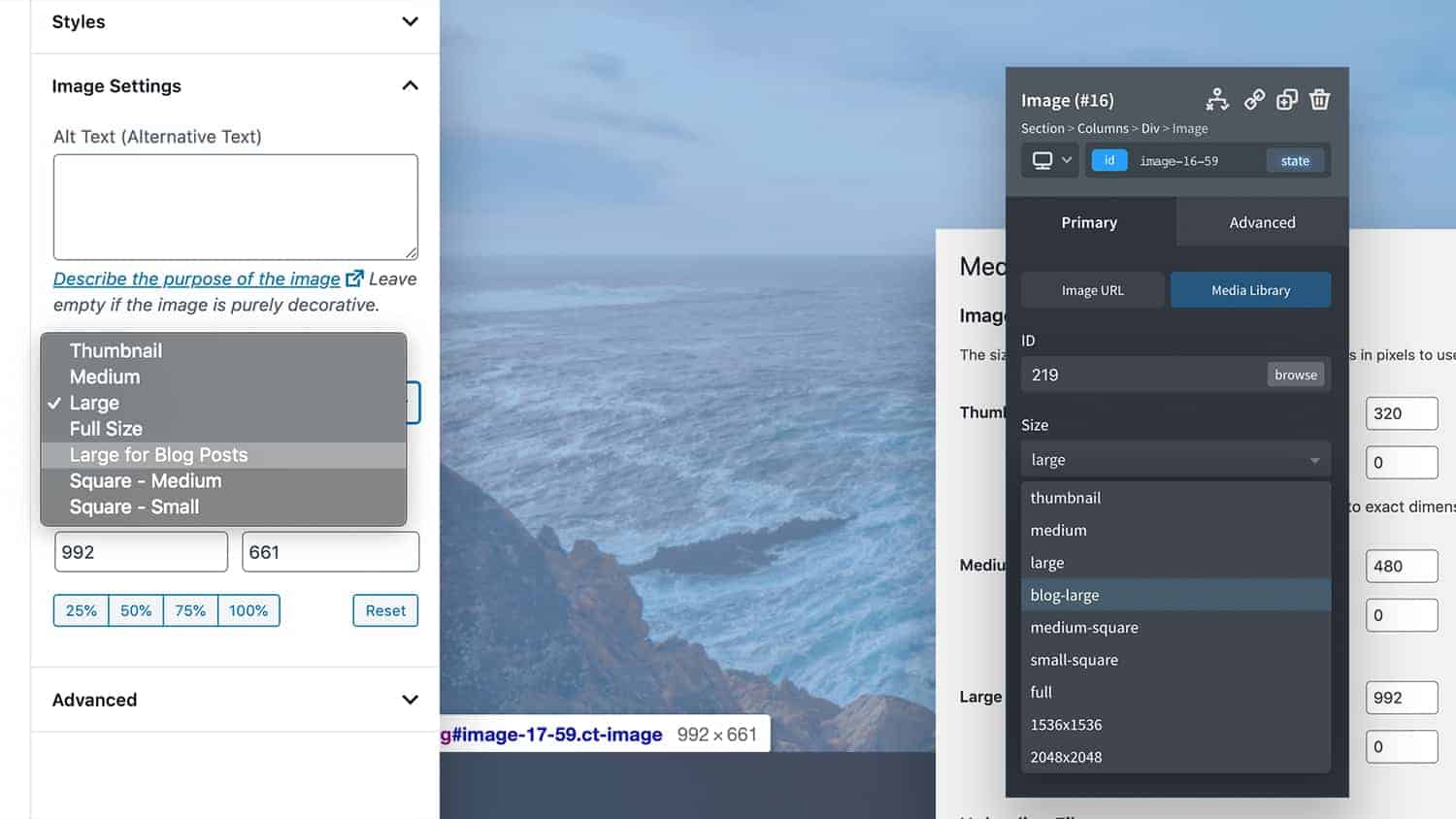 Using Responsive SRCSET Images & Custom Image Sizes in Oxygen