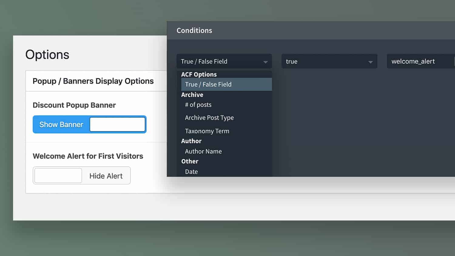 [Condition] True / False Field from ACF Options Page