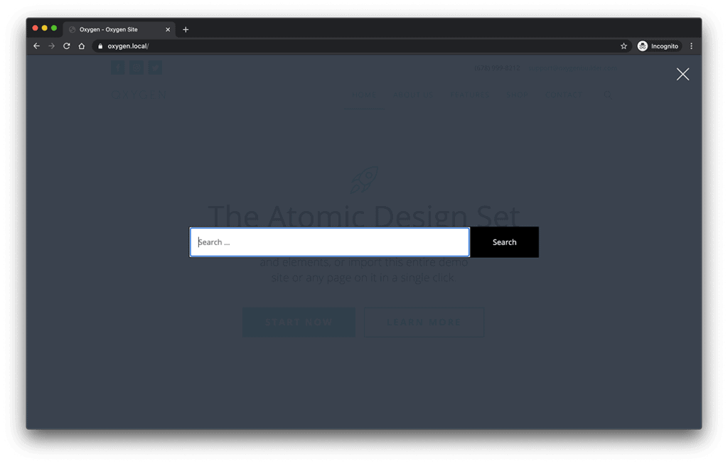 Customizing HTML output of a specific search form in WordPress