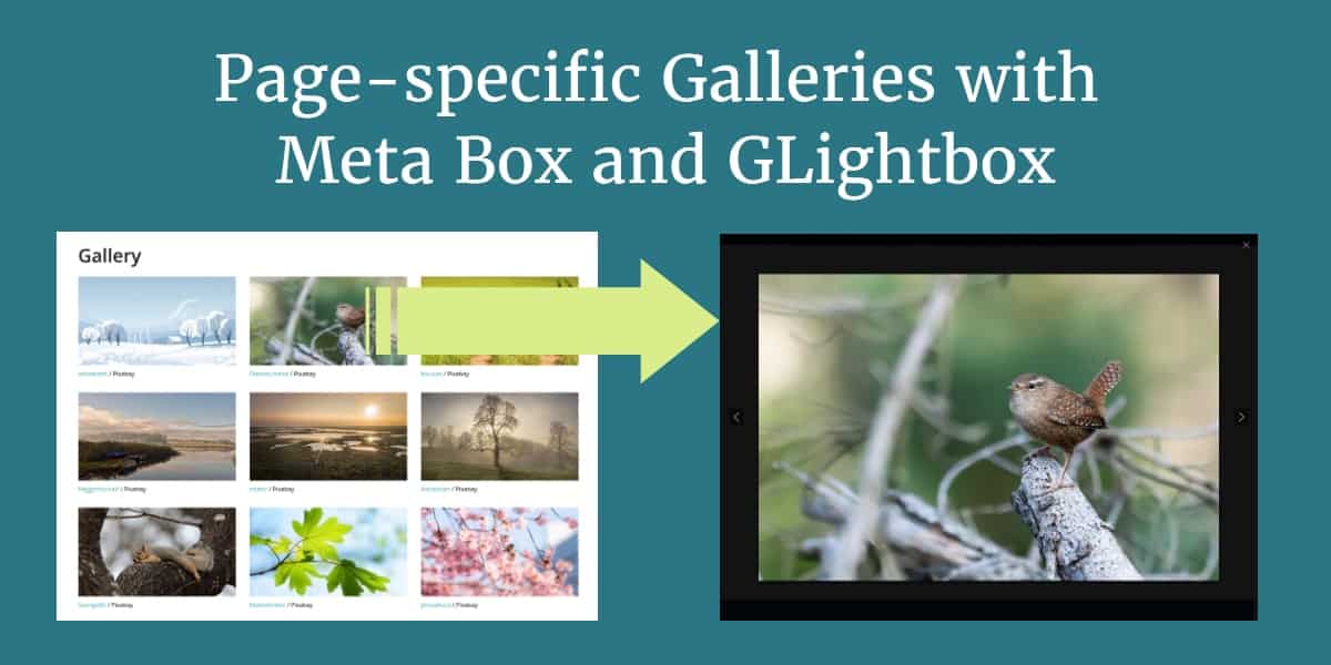 Page-specific Galleries in Oxygen with Meta Box and GLightbox