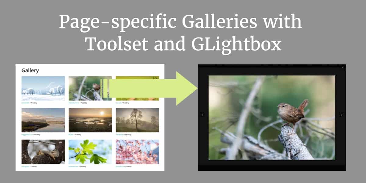 Page-specific Galleries in Oxygen with Toolset and GLightbox