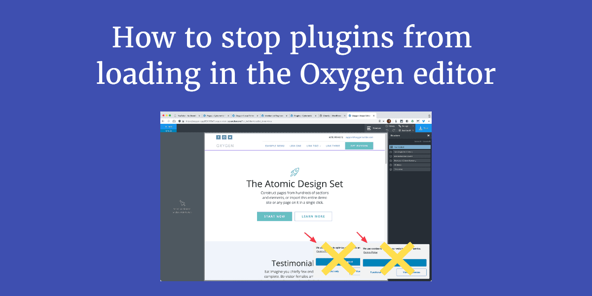 How to stop plugins from loading in the Oxygen editor